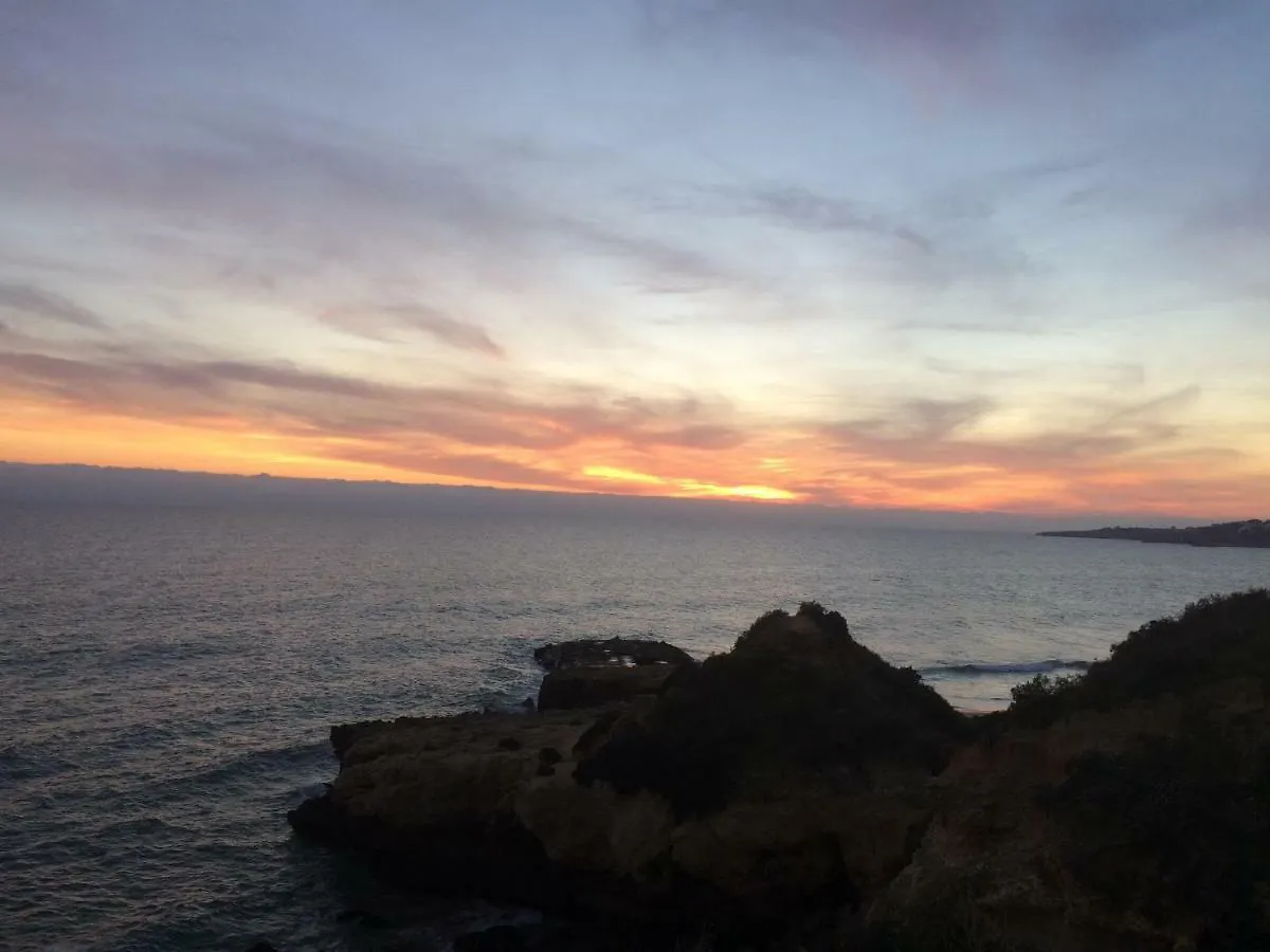 Barracuda Style Apartment Albufeira